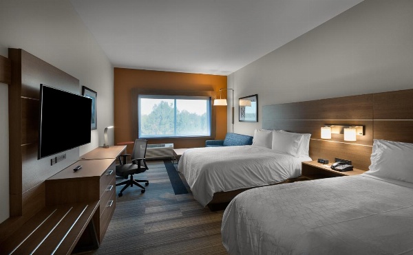Holiday Inn Express & Suites - Fayetteville South image 7